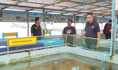 ผู้ว่าชลบุรีลงพื้นที่เยี่ยมชมศูนย์เรียนรู้ธนาคารสัตว์ทะเลเกาะสีชังโดยชุมชนเพื่อชุมชนยั่งยืน ในพระราชูปถัมภ์ฯ