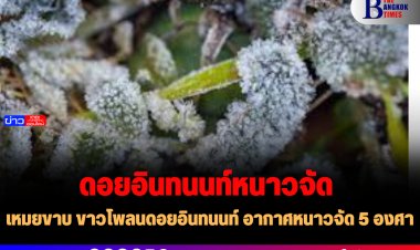 เหมยขาบ ขาวโพลนดอยอินทนนท์ อากาศหนาวจัด 5 องศา