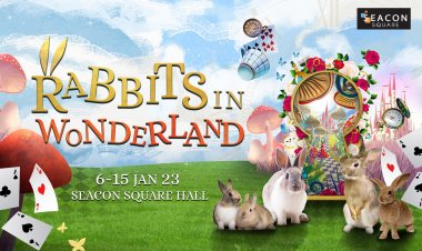 “Rabbits in Wonderland” ดินแดนมหัศจรรย์สำหรับเด็ก