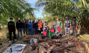 ขุนหาญเปิด"ยุทธการ 238 พิทักษ์นครลำดวน"จับแก๊งมอดไม้ ยึดไม้พะยูง กลางป่า อื้อซ่า..!