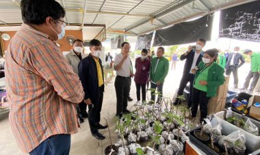 "อาคม" รมว.คลังลงพื้นที่ศรีสะเกษเยี่ยมชมฟาร์มเครือข่ายวิสาหกิจชุมชนคันนาทองคำ