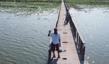 บึงสีไฟเมืองชาละวันนกเป็ดน้ำนับหมื่นตัวอพยพหนีหนาวมาอาศัยให้นักท่องเที่ยวได้ชื่นชม