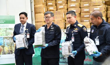กรมศุลกากร ยึดใบพืช “Khat” น้ำหนัก 5,600 กิโลกรัม มูลค่าของกลาง 60 ล้านบาท