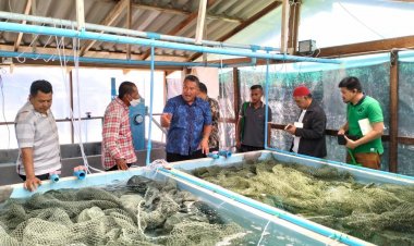 ปัตตานีอบรมเกษตรกรกลุ่มเป้าหมายเลี้ยงปูทะเล เพื่อพัฒนาศักยภาพสู่ปูโลก