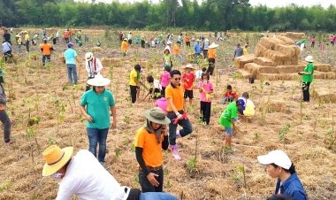 ซีพีเอฟ ส่งเสริมชุมชนร่วมอนุรักษ์ทรัพยากรป่าไม้ของชาติ สานต่อ"สวนป่าชุมชน"