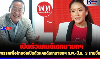 พรรคเพื่อไทยจ่อเปิดตัวแคนดิเดทนายกฯ ก.พ.-มี.ค.  3 รายชื่อ