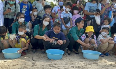 บ่อเต่ากองทัพเรือจัดกิจกรรมวันเด็ก ร่วมปล่อยเต่าลงสู่ท้องทะเล