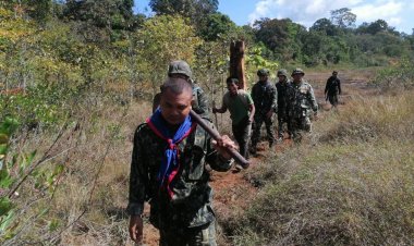 ป่าไม้ชายแดนไทย เป็นแหล่งเงินของ"มอดไม้ชาวกัมพูชา"สามารถแบกไม้ท่อนใหญ่ข้ามป่าเขาได้ ยากที่จะจับหมด