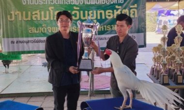 ประกวดไก่สวยงามพื้นเมืองไทย ราคาหลักแสนถึงหลักล้าน เพื่อสร้างรายได้ให้กับเกษตรกร