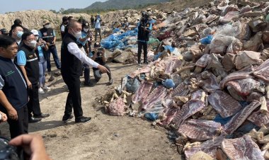หมูเถื่อน “ล้าน” กิโลกรัม…เข้ามาได้อย่างไร?