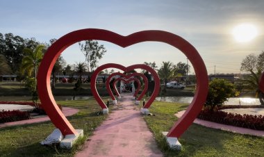 ปักหมุด เตรียมเที่ยวเทศกาลเบญจมาศบานในม่านหมอก วังน้ำเขียวรับเดือนแห่งความรัก