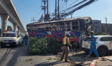 ระทึกขวัญ!ชายวัย 44 ขับรถบัส เสียหลักปีนฟุตบาทพุ่งชนต้นไม้และ รปภ. เจ็บ