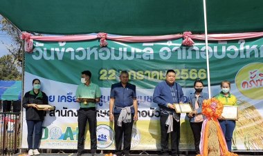 อำเภอบัวใหญ่จัดงานวันข้าวหอมมะลิ ดันข้าวเกษตรอินทรีย์ เชื่อมโยงตลาดค้าข้าวไทย
