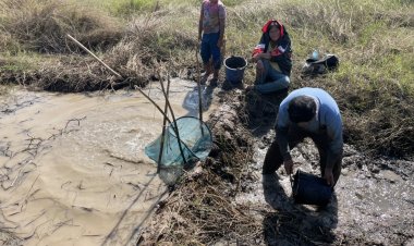 พลิกวิกฤติเข้าสู่หน้าแล้งวิดน้ำจับปลากลางทุ่งนานำขายสร้างรายได้จุนเจือครอบครัว