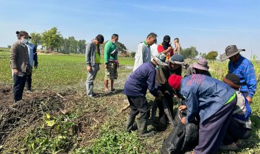 หนุ่มโสดซดเหล้าก่อนมุดลงไปในน้ำหวังต่อท่อจะสูบน้ำเข้านา ถูกผักตบชะวาเกี่ยวขาจมน้ำดับ