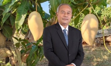 “พาณิชย์”ขึ้นทะเบียน GI มะม่วงน้ำดอกไม้สีทองพิษณุโลก มั่นใจช่วยสร้างมูลค่าเพิ่มมะม่วงไทยสู่สากล