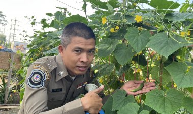 สุดเจ๋ง! ตร.ทางหลวงเพชรบูรณ์ ปลูกผักสวนครัวตามปรัชญาเศรษฐกิจพอเพียง