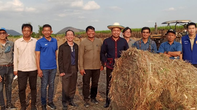 ผู้ว่าฯอุทัยธานี หนุนชาวไร่อ้อยสดลดการเผาของชาวบ้านสร้างรายได้เสริมจากขายใบอ้อย