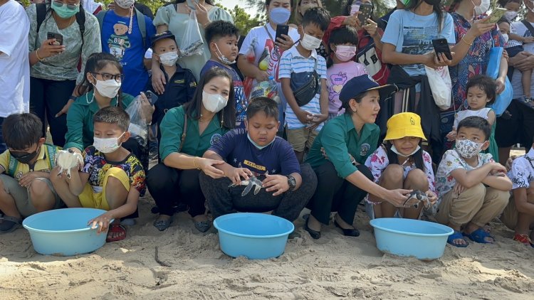 บ่อเต่ากองทัพเรือจัดกิจกรรมวันเด็ก ร่วมปล่อยเต่าลงสู่ท้องทะเล