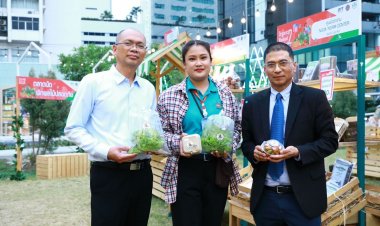 กรมการค้าภายในยิ้มปลื้ม ผลตอบรับงานตลาดนัดอินทรีย์ใจกลางเมืองดีเกิน เอกชนขานรับเจรจาซื้อขาย 2 สัปดาห์แรกจัดเจรจาไปแล้ว 49 คู่ ประเมินยอดรายได้ 165.75 ล้านบาท
