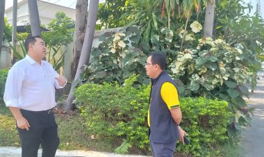 “นายกเคี้ยง-รองเอ็ด”  เตรียมเปิดสำนักงานพรรคพลังประชารัฐ(แม่สอด)