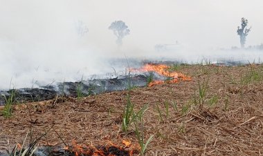 เตือนเกษตรกรหยุดเผาไร่อ้อยก่อมลพิษขู่หากฝ่าฝืนเอาผิดขั้นเด็ดขาด