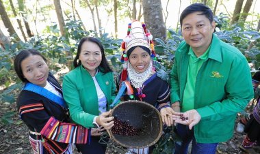 ธ.ก.ส. นำร่องช่วยกาแฟดอยช้าง ขยายเวลาชำระหนี้ 20 ปี เพิ่มศักยภาพประกอบอาชีพ