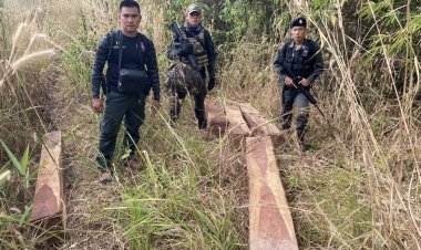 ตชด.324 สนธิกำลังป่าไม้บุกจับกุมแก๊งลักลอบตัดไม้หวงห้ามบริเวณป่าห้วยตาหลวงเมืองน่าน