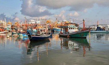 กรมประมงประกาศปิดอ่าวไทยตอนกลางปล่อยให้สัตว์ทะเลวางไข่ เผยจำนวนปลาทูเพิ่ม 63%