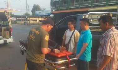 ระทึก!ช้างป่าเขาอ่างฤาไนเหยียบยายวัย 71 ปีรอดหวุดหวิดโชคดีพลเมืองดีบีบแตรรถไล่