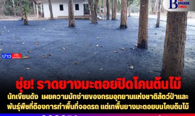 นักเขียนดัง  เผยความมักง่ายของกรมอุทยานแห่งชาติสัตว์ป่าและพันธุ์พืชที่ต้องการทำพื้นที่จอดรถ แต่เทพื้นยางมะตอยบนโคนต้นไม้