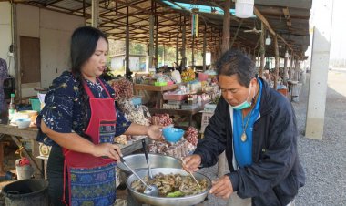 หูวัวตากแห้งที่ศรีสะเกษ อาหารใหม่ของอีสานใต้ เป็นที่นิยมบริโภคซื้อไปทำเมนูเด็ดได้หลายชนิด