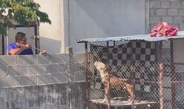 เตรียมส่ง"พิตบลู"จอมโหดขย้ำเจ้าของดับคากรงส่งศูนย์ฝึกสุนัขทหารปากช่องปรับพฤติกรรม-ช่วยเหลือราชการ