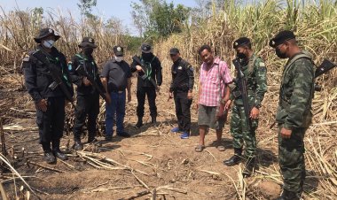 หนีตายระทึก!ช้างป่าหนีแล้งลงเขาคลั่งไล่เหยียบแรงงานตัดอ้อยสาหัส 1 เจ็บเล็กน้อย 1