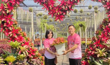 ความรักบานสะพรั่งที่วังน้ำเขียว ชวนคู่รักมาสัมผัสธรรมชาติ ในเดือนแห่งความรักกับหัวใจสับปะรดสี