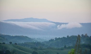 นักวิชาการซัดรัฐบาลปลดล็อกที่ดินอุทยานฯทับลานเอื้อประโยชน์ให้นายทุน-พรรคฝ่ายรัฐบาลอย่างชัดเจน