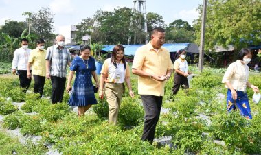 ยิ่งใหญ่มหกรรมเกษตรธรรมชาติ ครั้งที่ 22  "สืบสานศาสตร์พระราชา พัฒนาเทคโนโลยี สู่วิถีพอเพียง"