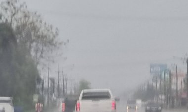 พายุฝนกระหน่ำเมืองปราจีนฯช่วยชุบชีวิตไม้ดอก ไม้ประดับ พืชสมุนไพรชุ่มฉ่ำ