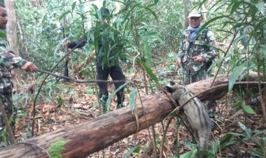 จนท. เขตรักษาพันธุ์สัตว์ป่าห้วยศาลา ลุยตรวจป่าพบบ่วงดักสัตว์และสัตว์ป่าหวงห้วมเพียบ