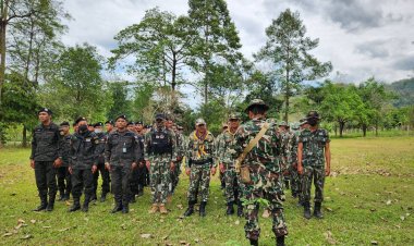 จนท.สนธิกำลังลงพื้นที่สระบุรีเจอการบุกรุกป่าเขตรอยต่ออุทยานฯเขาใหญ่อีกร่วม 300 ไร่