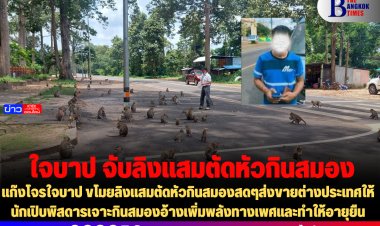 แก๊งโจรใจบาป ขโมยลิงแสมตัดหัวกินสมองสดๆส่งขายต่างประเทศให้นักเปิบพิสดารเจาะกินสมองอ้างเพิ่มพลังทางเพศและทำให้อายุยืน