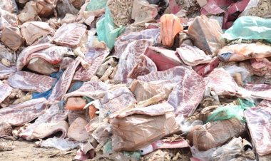 “หมูเถื่อน”กดราคาหมูไทยยับเยินเกินเส้นขาดทุน วอนรัฐป้องกันจริงจัง