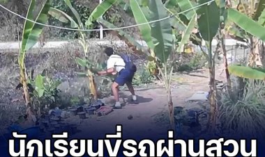 นักเรียนแสบ ขี่รถ จยย. ผ่านสวนเจอ กัญชา-กระท่อม วิ่งมาตัดแล้วขโมยไป