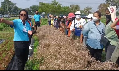 สระแก้วเปิดกิจกรรมการเรียนรู้และพัฒนาอาชีพชุมชน