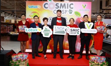 osmic Crisp®’ แอปเปิลสายพันธุ์ใหม่ จากแบรนด์วอชิงตันแอปเปิล USA สุดยอดสายพันธุ์ ลิขสิทธิ์เฉพาะรัฐวอชิงตัน