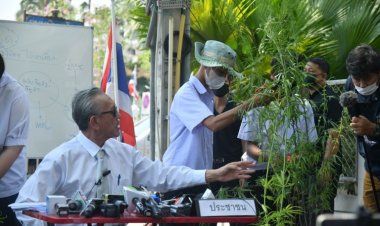 กัดไม่ปล่อย!“ชูวิทย์” นำเด็กนร.ตัดต้นกัญชา ข้างทำเนียบฯ ประกาศจุดยืนค้าน “กัญชาเสรี”