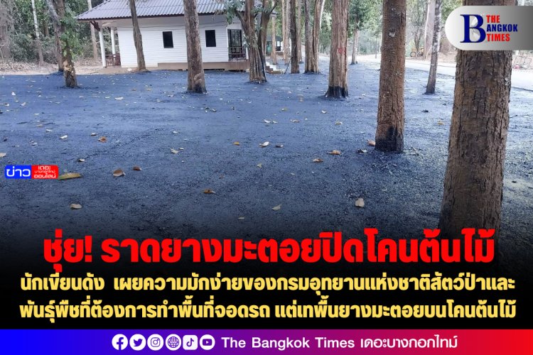 นักเขียนดัง เผยความมักง่ายของกรมอุทยานแห่งชาติสัตว์ป่าและพันธุ์พืชที่ต้องการทำพื้นที่จอดรถ แต่เทพื้นยางมะตอยบนโคนต้นไม้