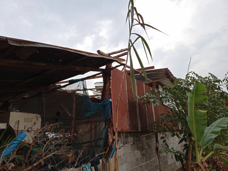 พายุลมแรง-ฝนตกหนักถล่มอำเภอหัวตะพานเมืองอำนาจเจริญ พ่อเมืองเตือนปชช.รับมืออากาศแปรปรวน