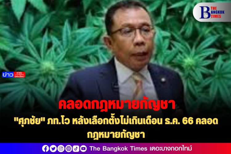 "ศุภชัย" ภท.โว หลังเลือกตั้งไม่เกินเดือน ธ.ค. 66 คลอดกฎหมายกัญชา