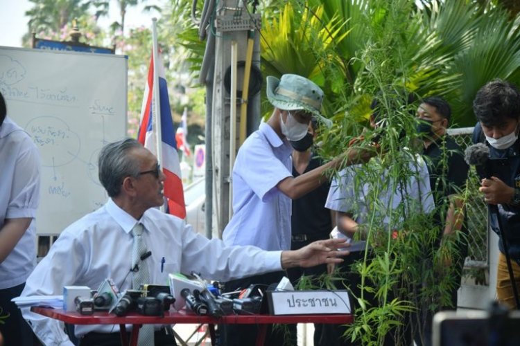 กัดไม่ปล่อย!“ชูวิทย์” นำเด็กนร.ตัดต้นกัญชา ข้างทำเนียบฯ ประกาศจุดยืนค้าน “กัญชาเสรี”